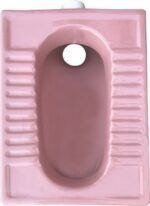 Asian Step Toilet Pink